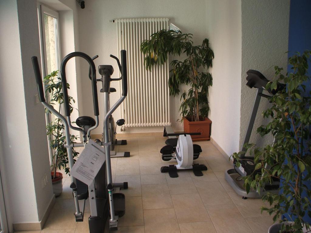 רגנסבורג Hotel Apollo Garni מראה חיצוני תמונה